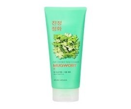 Pure Essence Mugwort Foam Cleanser